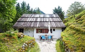 Fairy Tale House